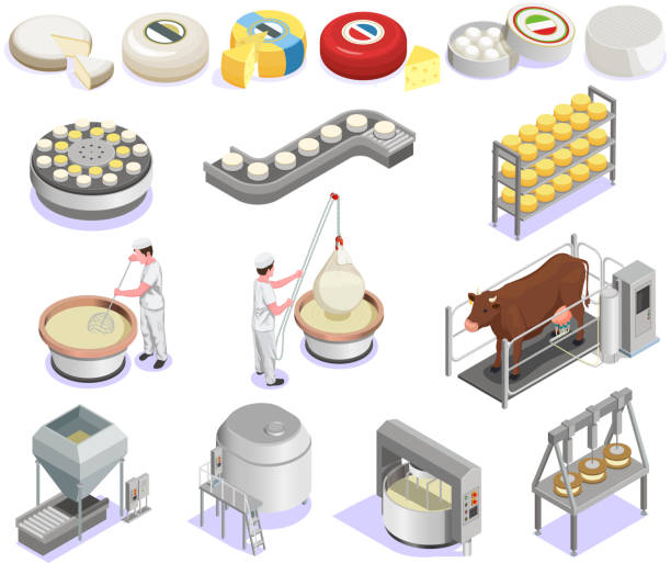 produkcja sera izometrycznego - surowe mleko stock illustrations