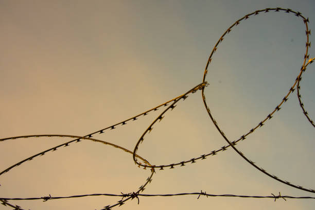 istock A tangle of thorns against a yellowish sky. Space for text. Concept. 1201260012