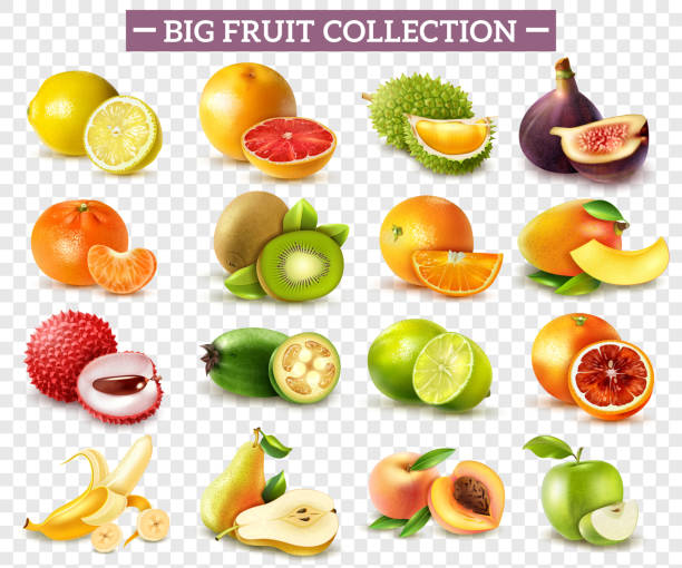 ilustraciones, imágenes clip art, dibujos animados e iconos de stock de conjunto transparente de frutas realista - fruit apple orange lemon
