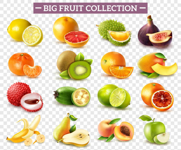 illustrations, cliparts, dessins animés et icônes de ensemble transparent de fruits réaliste - pêche fruit