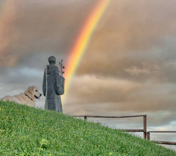 istock Golden Retriever Posing on a Hill in Italy with a Rainbow 1201262084