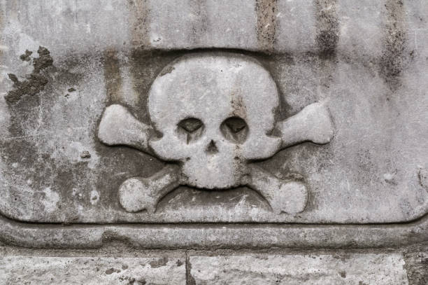 istock Skull and crossbones as relief on grey stone 1201263850