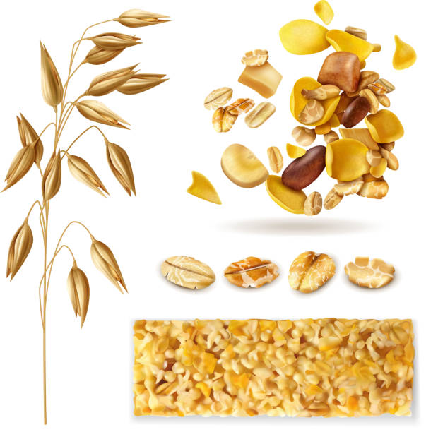 realistic muesli set Realistic muesli set of isolated images with cereal plant beans and ready breakfast granola mix vector illustration granola stock illustrations