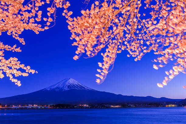 istock Mt. Fuji, Japan on Lake Kawaguchi in Spring 1201265297