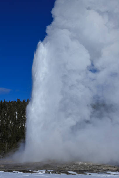 istock Old Faithful Geyser erupting in winter 1201265358