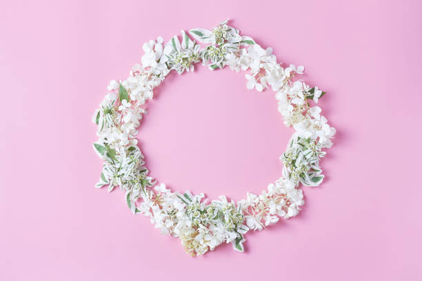 istock frame wreath pattern on pink background. ornament with white fresh hydrangea flowers, petals, and green leaves. flat lay, top view 1201265374