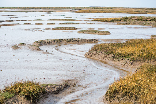 Views of mudflat at low tide from Norfolk Coast path National Trail near Barnham Overy Staithe, East Anglia, England, UK.