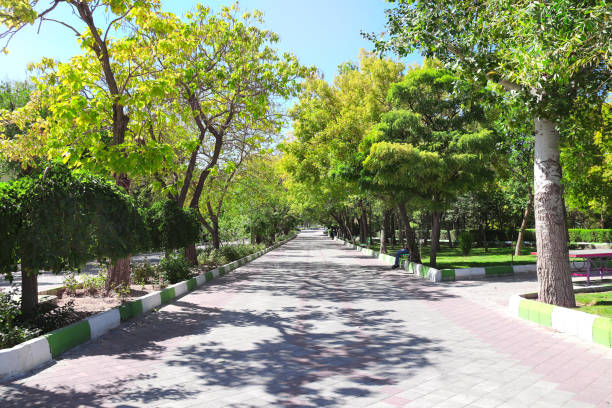 istock Alley in Elgoli Park,Tabriz, Iran 1201267071