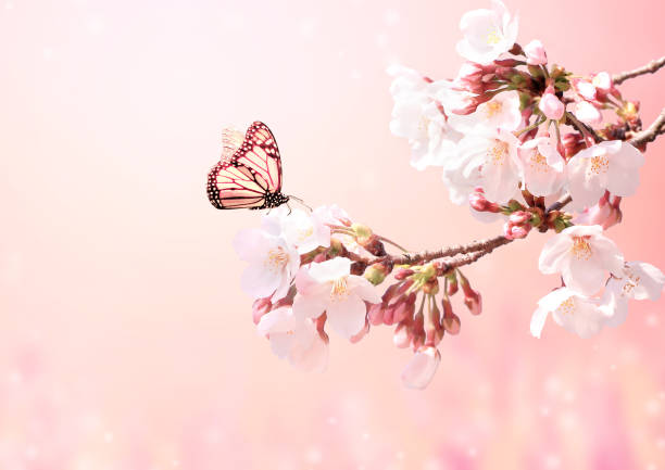 istock Beautiful magic spring scene with sakura flowers 1201268048