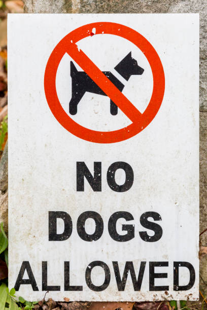 istock Grungy Sign -- No Dogs Allowed 1201269182