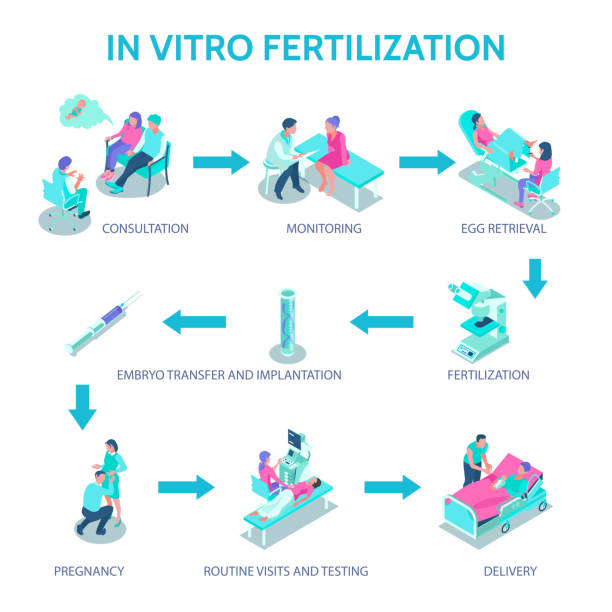 изометрическая гинекологическая беременность - pregnancy test test type medical test test method stock illustrations