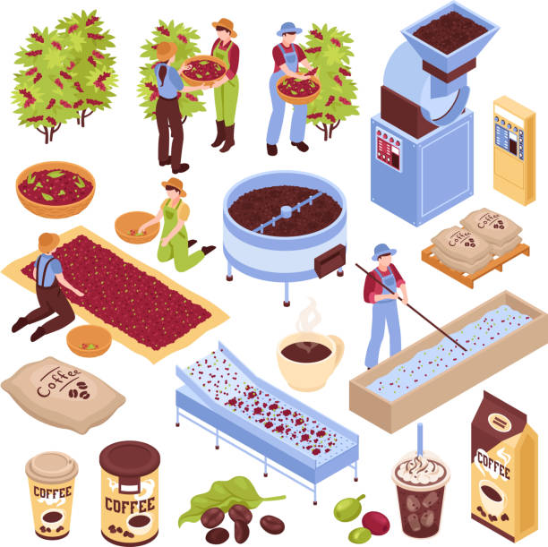 zestaw do produkcji kawy izometrycznej - grind stock illustrations