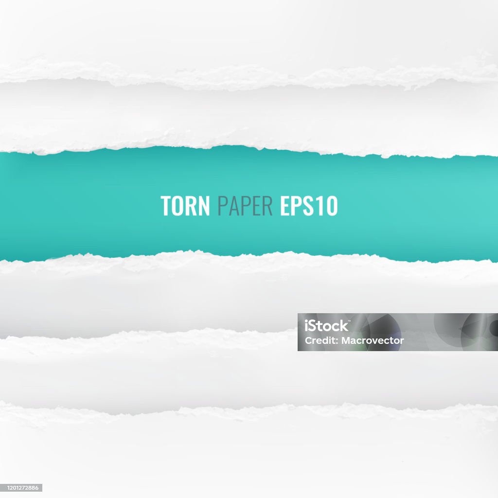 Paper Border Edge Torn Paper Edge Border Realistic Stock Illustration - Download Image ...