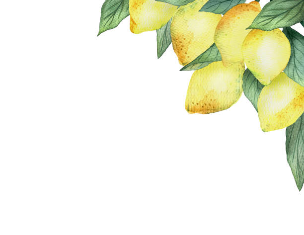 istock Watercolor painting  Lemons Frame 1201274322