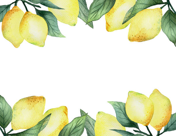 Watercolor painting  Lemons Frame