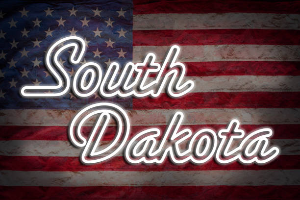 South Dakota South Dakota Sign with US flag. oregon us state photos stock pictures, royalty-free photos & images