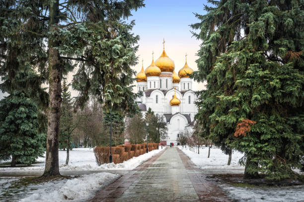 kathedrale in jaroslawl unter grünen tannenbäumen - yaroslavl russia religion church stock-fotos und bilder