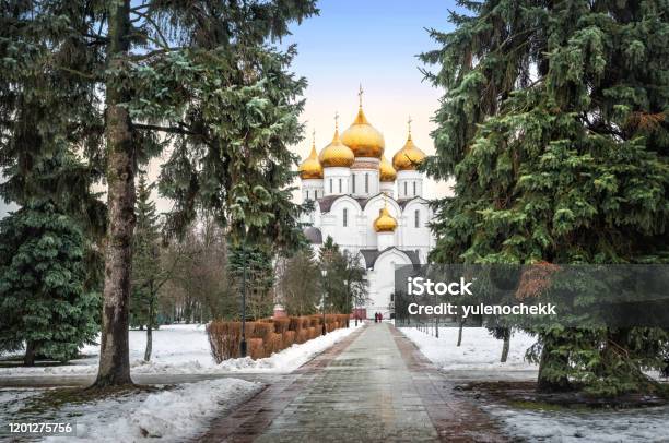 Cathedral In Yaroslavl Among Green Fir Trees Stock Photo - Download Image Now - Yaroslavl', Winter, Russia