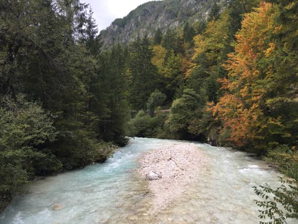 istock Nature in Slovenia 1201275937