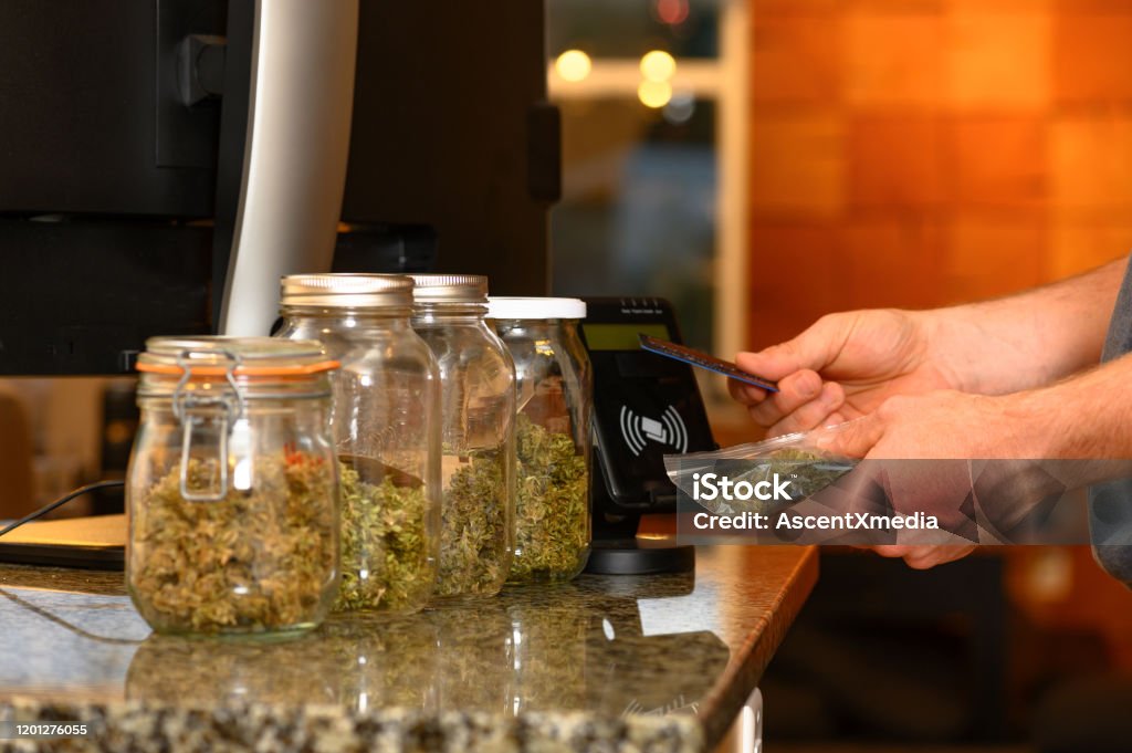 Purchasing Cannabis with a credit card Paying by credit card for marijuana at a cannabis dispensary. Purchasing legal recreation drugs. Medical marijuana at a clinic. Cannabis Plant Stock Photo