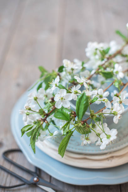 istock Branches of white cherry blossoms on a stack of blue plates and scissors 1201276066