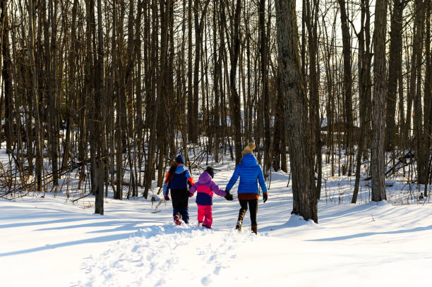 istock Mother and daughters walking in a winter scene 1201276717