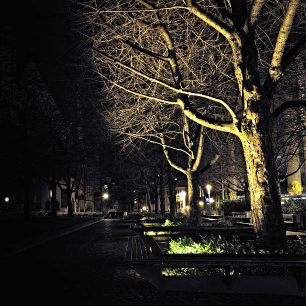 istock Silence of the night 1201278635