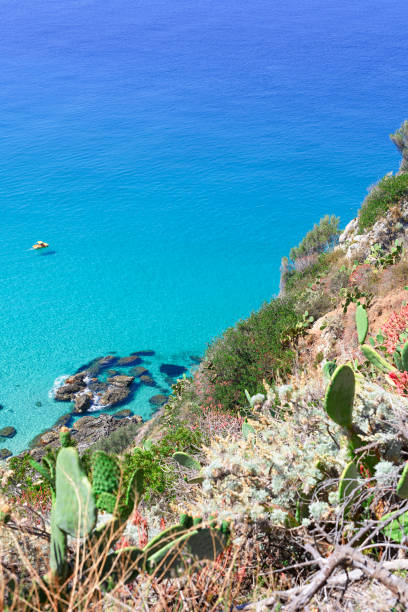 istock The beach in Calabria 1201279125