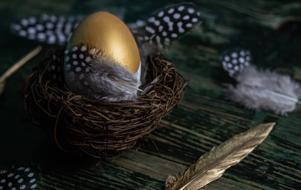 golden easter egg on table - wealth eggs animal egg easter egg imagens e fotografias de stock