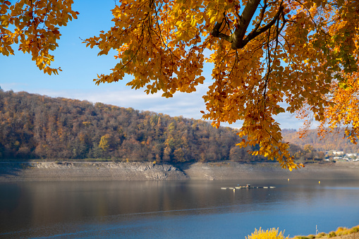View of a reservoir with tree in autumn