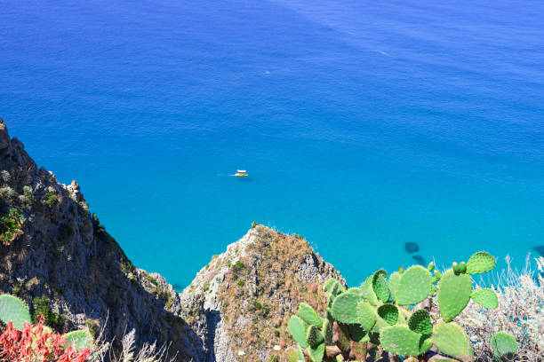 istock The beach in Calabria 1201279831