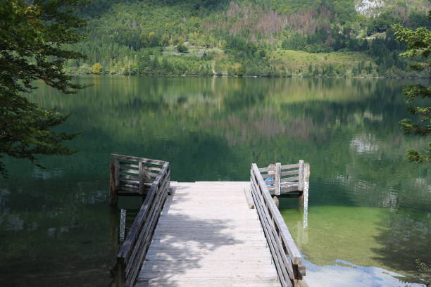 istock Lake Bled and Lake Bohinj 1201279933