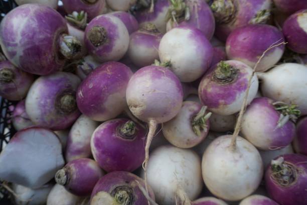 istock Vitamin store, white organic radish. 1201285413
