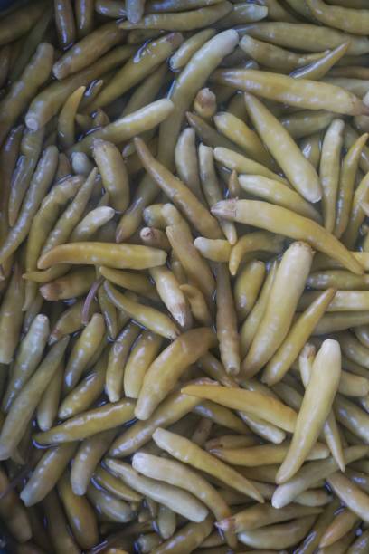 istock Organic and small pickled peppers. 1201285495