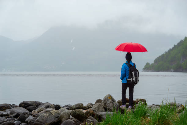 istock Woman looking at fjord and mountain range. 1201288550