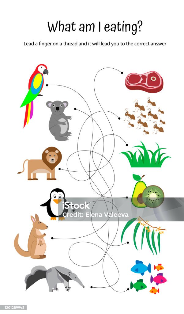 What Do Animals Eat Find The Right Way Educational Game For Children  Mazelabyrinth Game For Preschool Education Stock Illustration - Download  Image Now - iStock