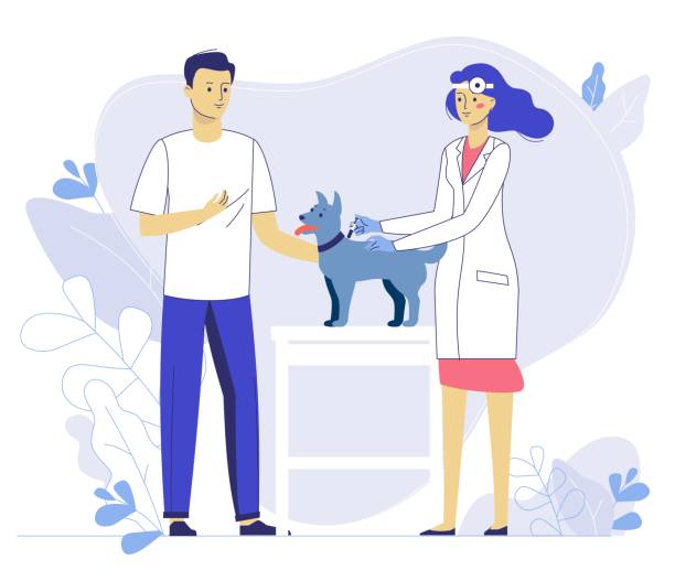 illustrations, cliparts, dessins animés et icônes de concept vétérinaire avec l'animal et le docteur dans la clinique vétérinaire. - dog pets advice women