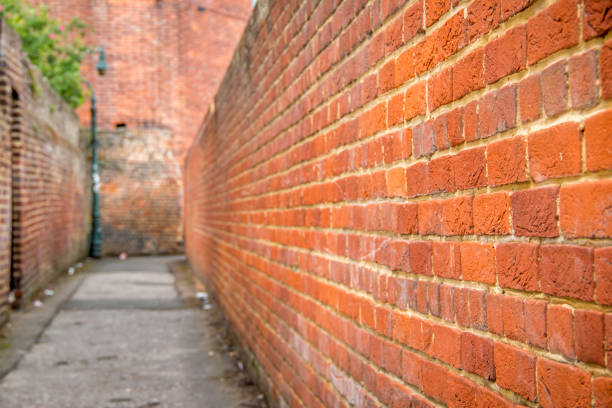istock Street lamp at the end of a brick path 1201292800