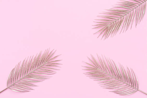 istock Palm leaf on pink background with place for your text 1201292954