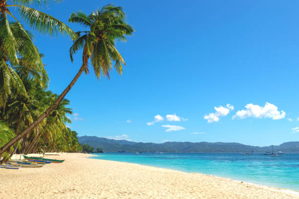 istock The view of Boracay White beach with coconut palm trees 1201293758