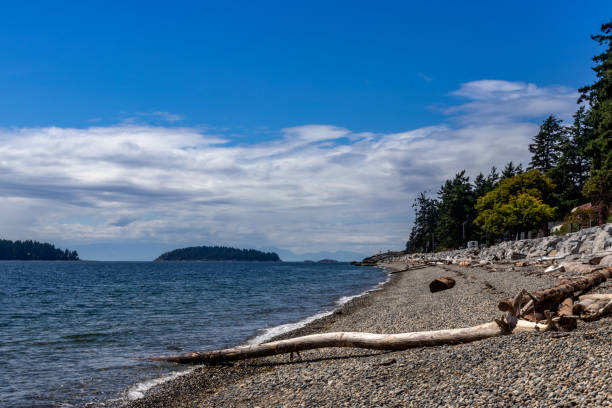 istock Long Pacific coast of Sechelt Beach, Sunshine Coast, BC, Canada 1201294030