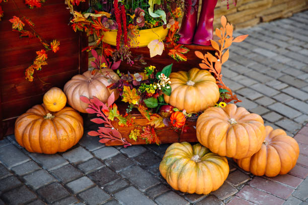 istock Pile of different raw pumpkins 1201297389
