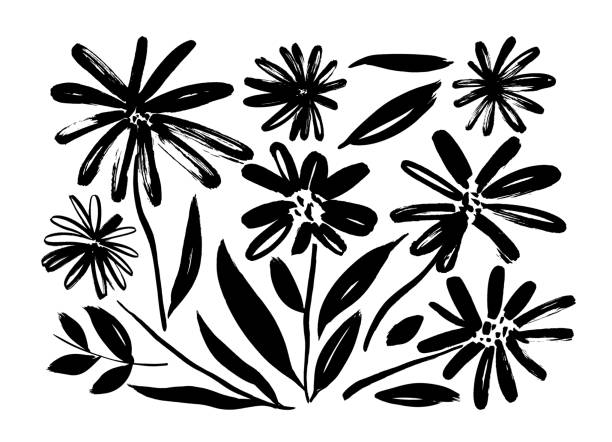 rumianek ręcznie rysowany zestaw wektorów farby. atrament rysunek kwiaty i rośliny, monochromatyczne artystycznej ilustracji botanicznej. - flower backgrounds floral pattern dirty stock illustrations