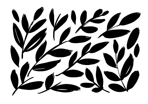 Brush branches with long leaves vector collection. Set of black silhouettes leaves and branches. Hand drawn eucalyptus foliage, herbs, tree branches. Vector ink elements isolated on white background.