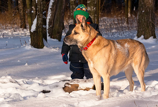 Dog and little boy in winter forest stock photo