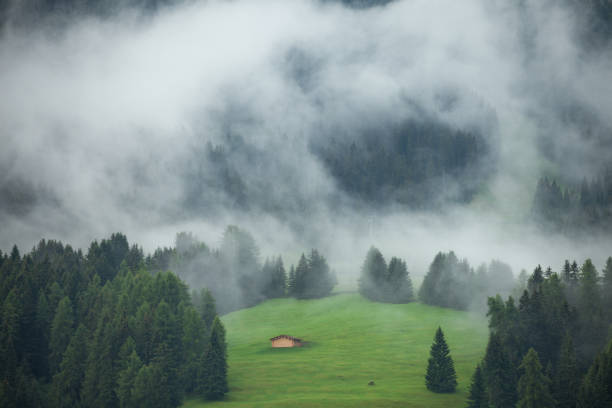istock A cloudy day over an Italian mountain forest 1201310356