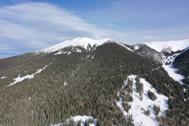 istock Snowbowl surfacing, Flagstaff, Arizona 1201312327