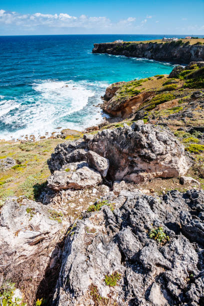 istock Rocky coast - Ragged Point, Barbados 1201314768