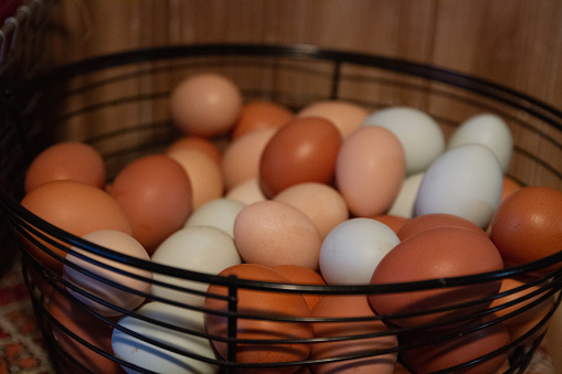 Multicolored Farm Fresh Eggs in Wire Basket, Close Up