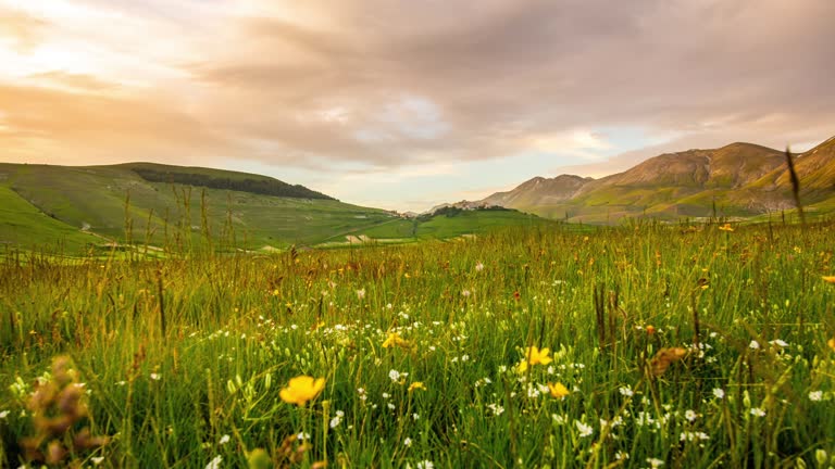 WS TIME LAPSE idyllic mountain meadow, Castelluccio, Umbria, Italy